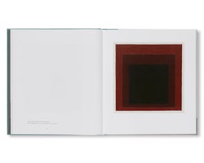 ALBERS AND MORANDI: NEVER FINISHED